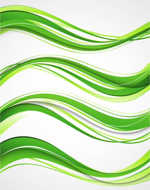 Abstract curved lines background. Template brochure design vector art illustration