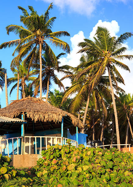 istock Blue house in Dominican Republic 534703973