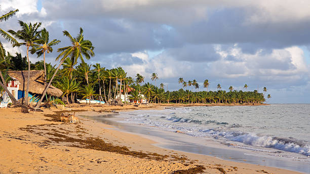 istock Dominican Republic beach 534703975