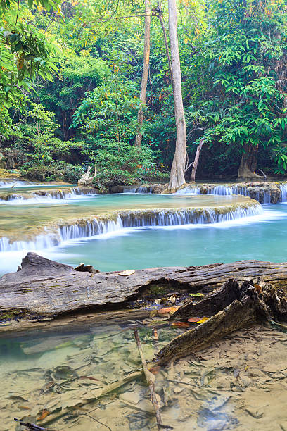 深い森林カーンチャナブリー県の滝（huay mae kamin ）、タイます。 - waterfall erawan tropical rainforest tree ストックフォトと画像