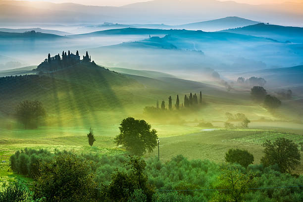 istock Beautiful view of green fields and meadows at sunset 534713821