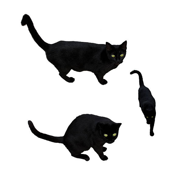 istock Black cat with green eyes 534713979