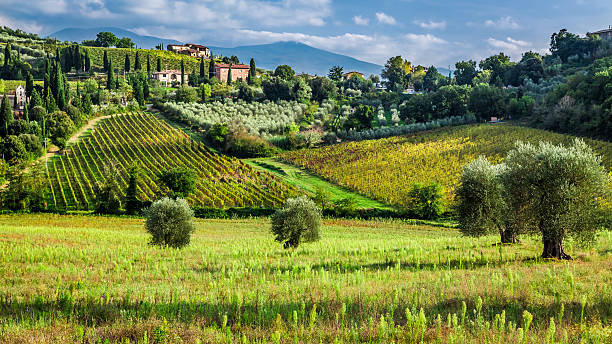 vista de uma pequena aldeia na toscana - montalcino imagens e fotografias de stock