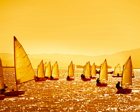 Group of sailing ships at sunset.