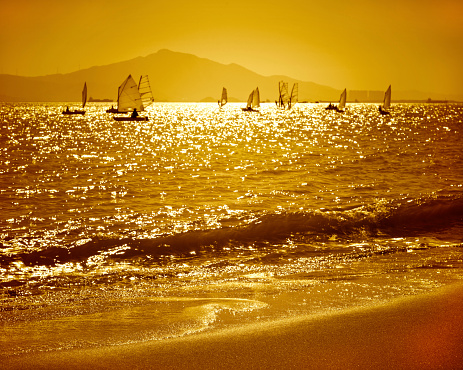 Group of sailing ships at sunset.