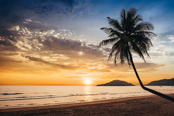 sonnenuntergang am tropischen strand - goa stock-fotos und bilder