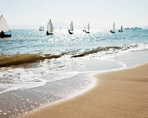 Group of sailboats sailing at sea.
