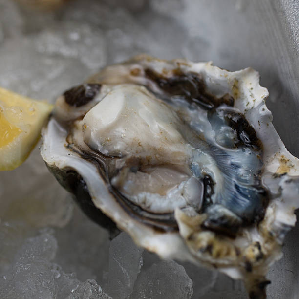 istock Freshly Shucked Raw Oyster 534718959
