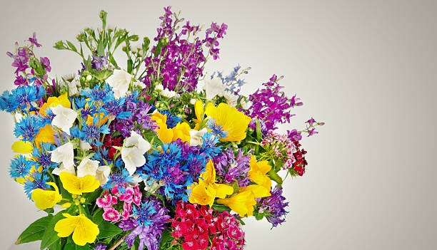istock Beautiful Wild flowers bouquet 534719689