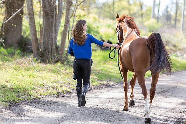 istock girl and horse 534733918