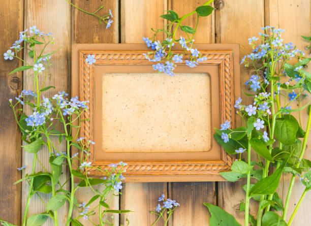 Vintage floral background with Wild flowers. Wooden frame and Forget-me-nots flowers. Copy space