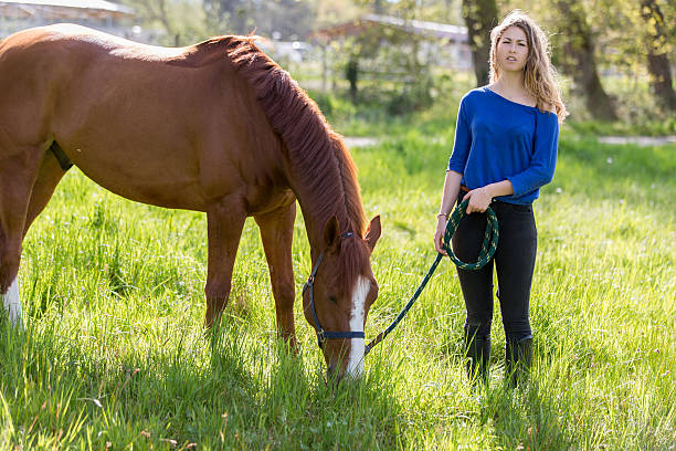 istock Girl and horse in field 534739352