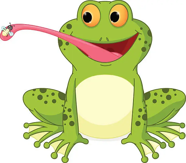 Vector illustration of Happy frog cartoon catching fly