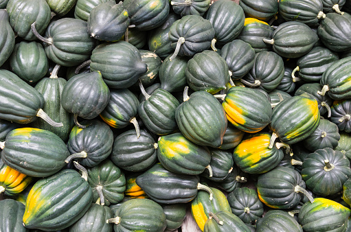 Freshly harvested acorn or winter squash on display at the farmers market