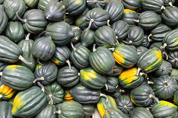 Acorn or winter squash on display Freshly harvested acorn or winter squash on display at the farmers market acorn squash stock pictures, royalty-free photos & images