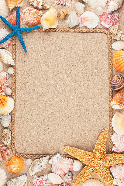 istock Beautiful frame of rope and seashells on the sand 534744021