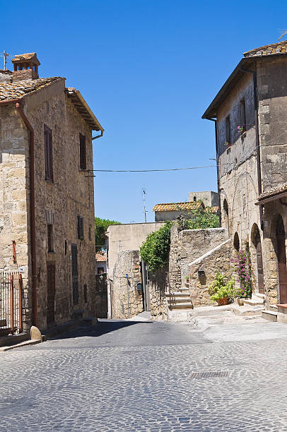 istock Alleyway. Tarquinia. Lazio. Italy. 534756859