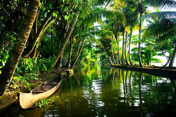 backwaters von kerala - allepey stock-fotos und bilder