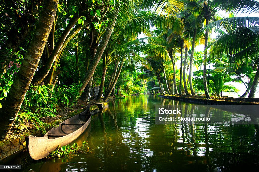 backwaters of Kerala Allepey, Kerala, India Kerala Stock Photo