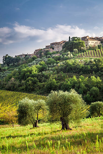 istock View of a small village in Tuscany 534757545