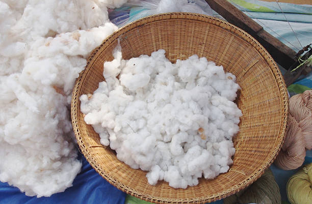 istock Raw cotton in the woven basket 534757677