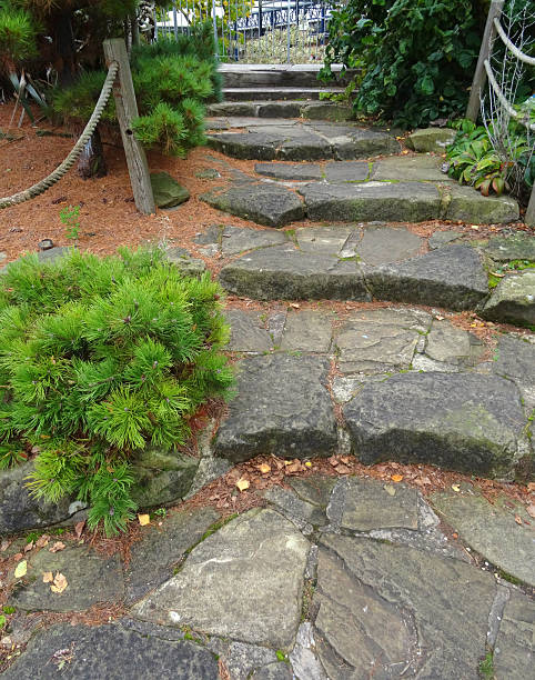 Stone steps leading to pathway, ornamental garden stairs, stepping stones Photo showing informal stone steps leading to a pathway in an ornamental garden, edged by a rope handrail, dwarf pines and other evergreen conifers, and various shade-loving woodland plants.  These natural stairs resemble stepping stones, leading up a gentle slope. dwarf pine trees stock pictures, royalty-free photos & images