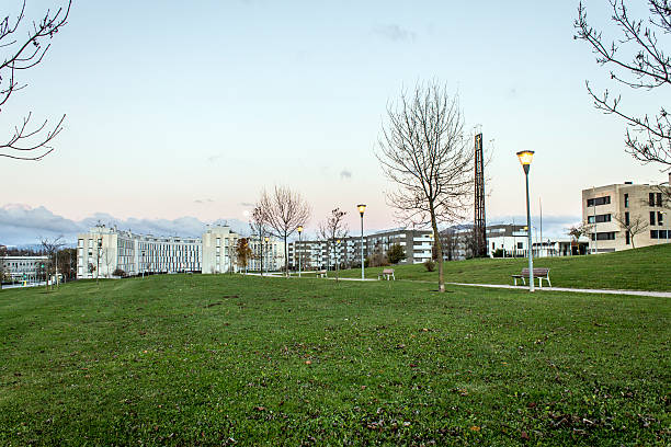 istock walk early in the morning in navarra 534761307