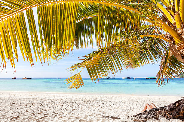 istock Woman's legs on tropical beach, summer vacation concept. 534762727