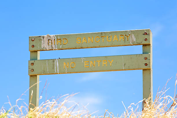 istock Bird sanctuary wooden sign 534762977