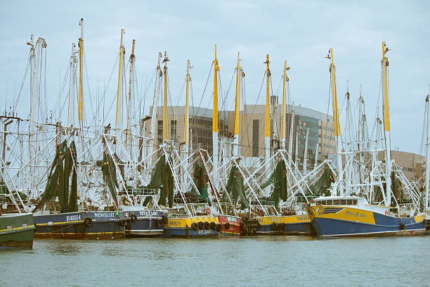 istock Fishing Boats at Port 534763221