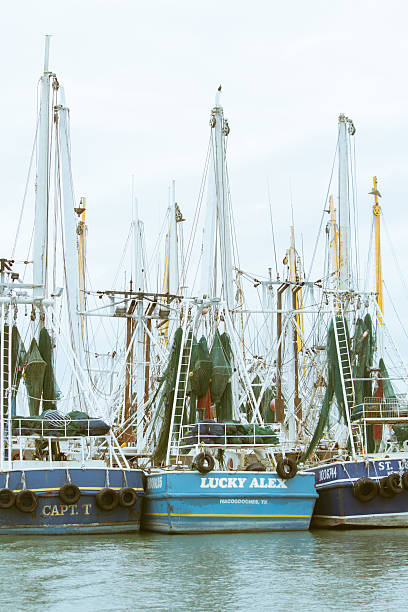 istock Fishing Boats at Port 534763223