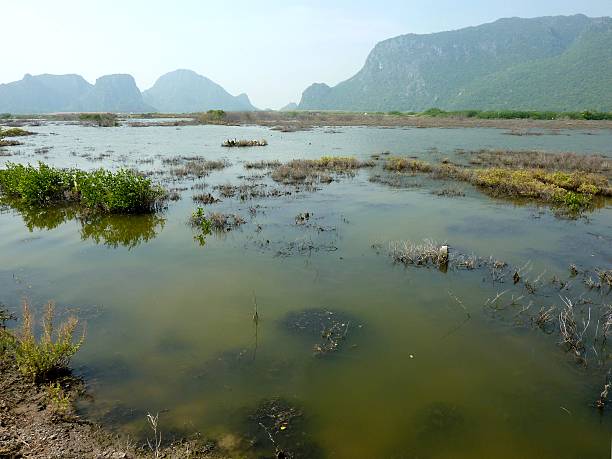 istock Khao Sam Roi Yot National Park landscape, Thailand 534780301