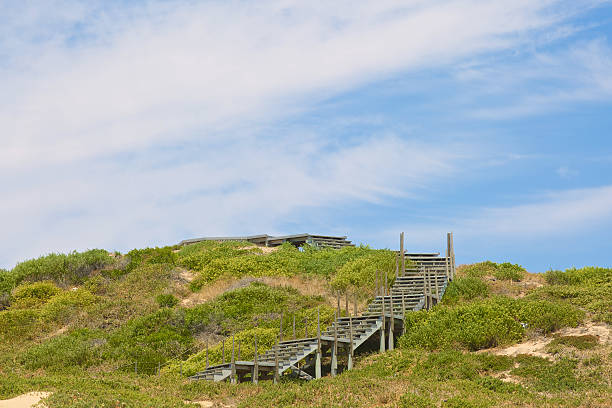 istock Old wooden ledder on green hill 534780635