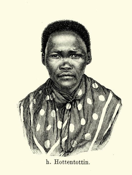 ilustraciones, imágenes clip art, dibujos animados e iconos de stock de 19 th century áfrica-khoikhoi mujer - khoikhoi woman