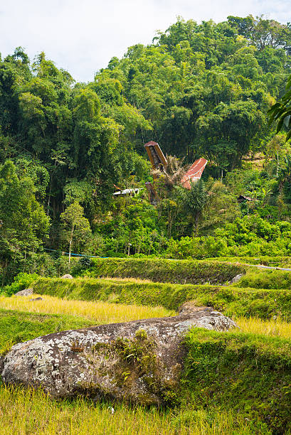 istock Idyllic landscape in Tana Toraja 534786003