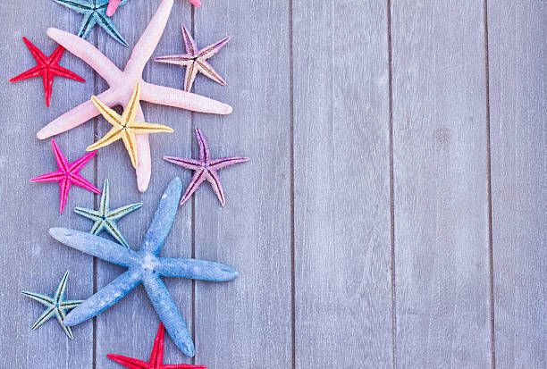 istock starfish on wooden board 534786319
