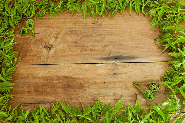istock Frame is made of leaves 534786977