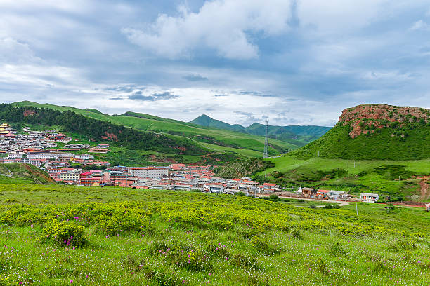 istock skyline,hill and meadow in tibet 534787213