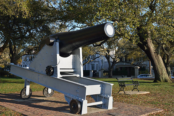 istock Cannon at White Point Gardens in Charleston 534789743