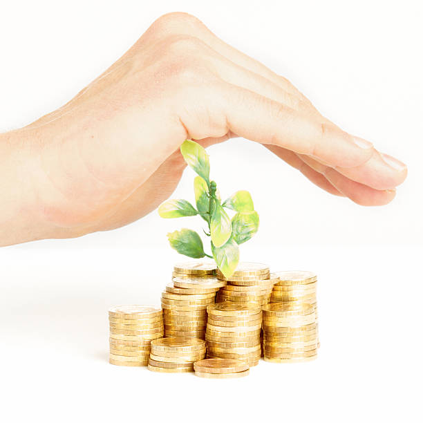 istock Roof for your money 534799593