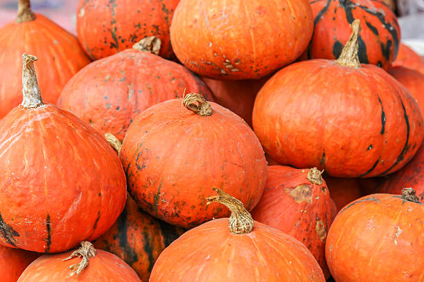 istock pile of small pumpkins 534801625