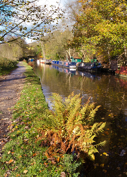 istock Autumn on the canal 534802765