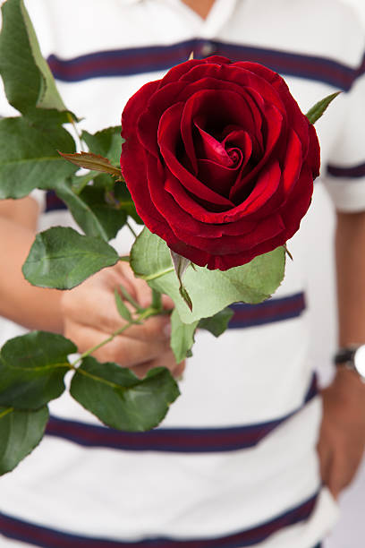 istock Single red rose with in hand men 534824763