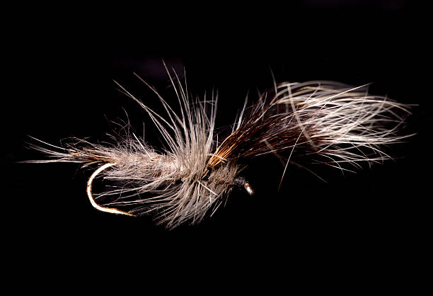 istock grey wulff fishing fly 534824803