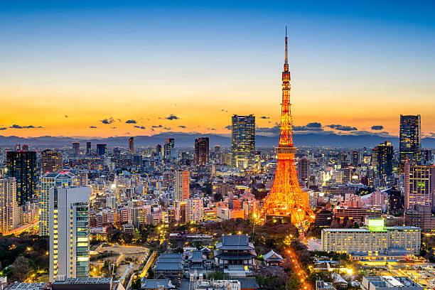 istock Tokyo, Japan Skyline 534826193