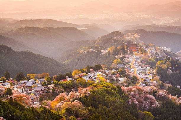 Yoshinoyama, Japan in Spring Yoshinoyama, Nara, Japan view of town and cherry trees during the spring season. nsra stock pictures, royalty-free photos & images