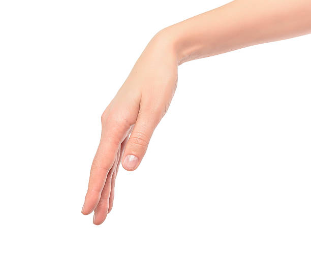 istock Beautiful woman hand holding or stretches 534828563