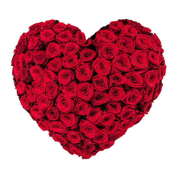 istock Heart Made of Red Roses Isolated on White Background 534828767