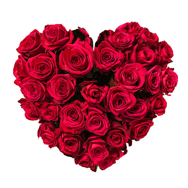 istock Heart Made of Red Roses Isolated on White Background 534829855