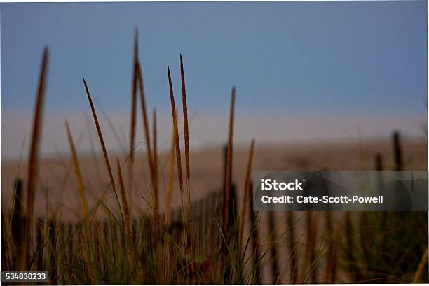 Sunrise On Beach Stock Photo - Download Image Now - 2015, Beach, Cloudscape